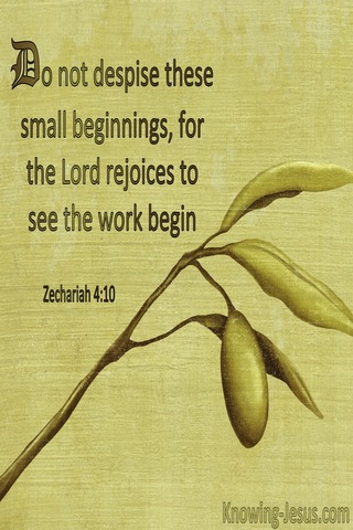 Zechariah 4:10 Do Not Despise These Small Beginnings For The Lord Rejoiced To See The Work Begin (windows)03:30